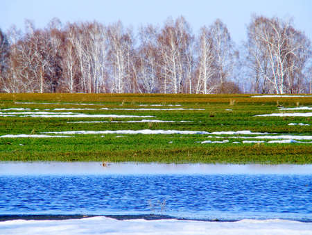 The spring came in sepia of Altaiの写真素材