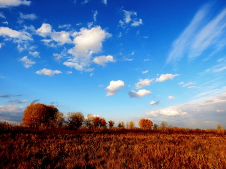 The fall came to forest-steppes of Altaiの写真素材