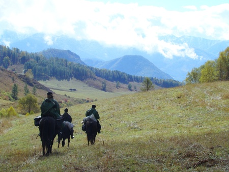 In open spaces of mountain Altai there came golden autumnの写真素材