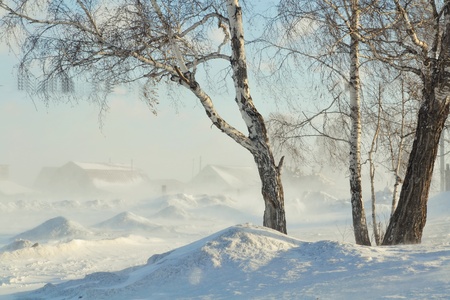 A strong wind blows and snow white is in village streetsの写真素材