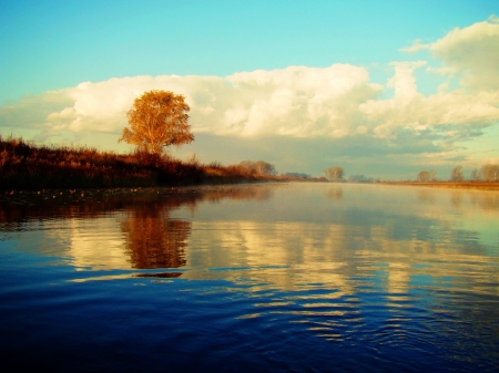 The golden autumn came to the Ob River floodplainの写真素材