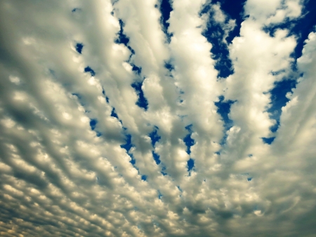                                White plumose clouds beautifully settled down in the skyの写真素材