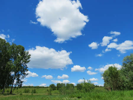 White clouds float in the blue August skyの写真素材