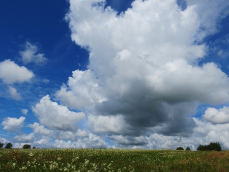                                White clouds float in the blue August skyの写真素材