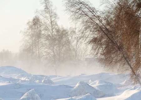                       Severe cool winter came to steppe Altaya        の写真素材