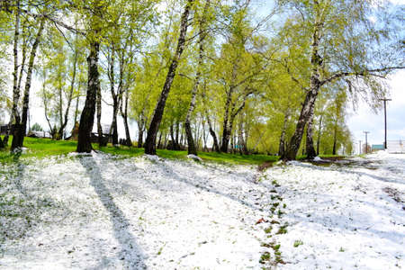 White snow has unexpectedly fallen out to land in medium of the Mayの写真素材