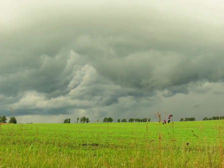 Summer in steppe grows much field coloursの写真素材