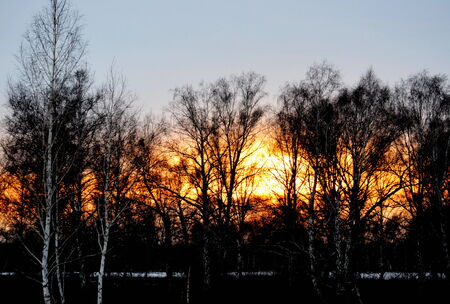  Springtime and in winter early in the morning sun will get up in dense fogsの写真素材