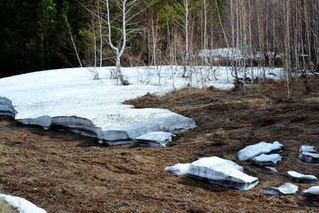 Came unusual warm springtime in steppe Altayaの写真素材