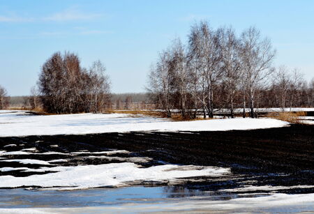 Came unusual warm springtime in steppe Altayaの写真素材