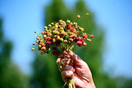 Clever hands of the person help person in lifes の写真素材