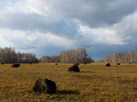                        Nature Altaya in any season of the year pleases eye of the photographer         の写真素材