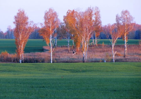                     Autumn time pleases eye of the person their own paint            の写真素材
