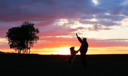                 In any season of the year sundowns and rises have a bright paints                の写真素材