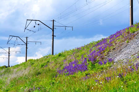 Nature Altaya in any season of the year pleases eye of the photographer の写真素材