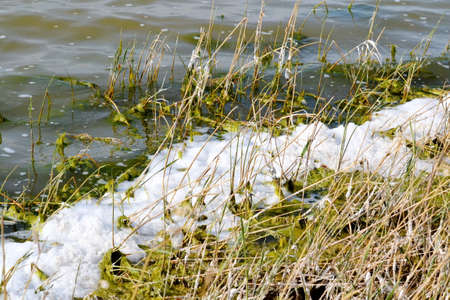 Nature Altaya pleases their own paint an artist and photographer