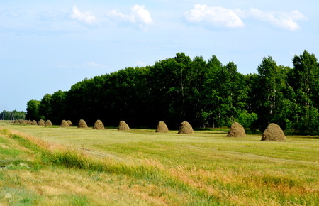 Nature Altaya pleases their own paint an artist and photographerの写真素材