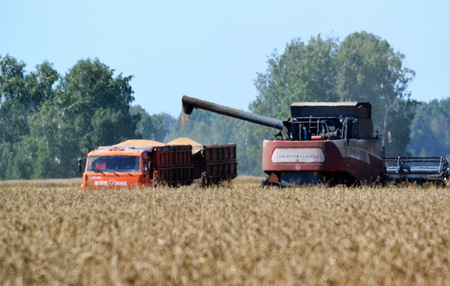 Autumn much technology participates in cleaning the harvest on floorのeditorial素材