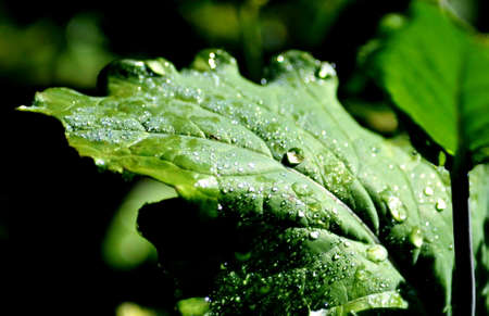 Nature Altaya pleases eye of the artist in any season of the year