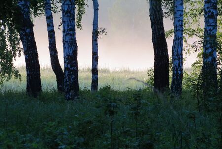 Nature Altaya pleases eye of the artist in any season of the yearの写真素材