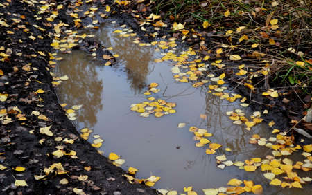 Nature Altaya pleases eye of the artist in any season of the year