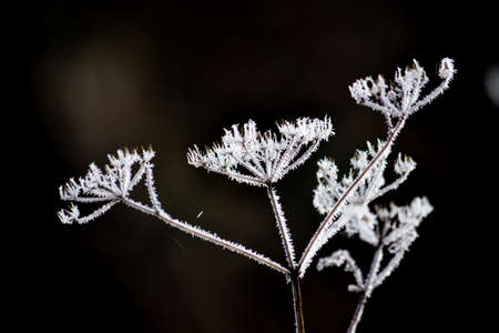 Nature Altaya pleases eye of the artist in any season of the year