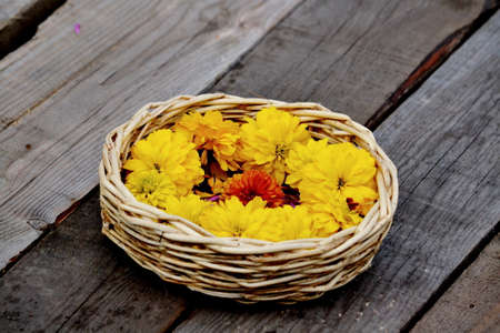 Nature Altaya pleases eye of the artist in any season of the year