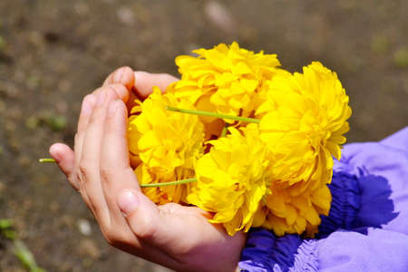 Nature Altaya pleases eye of the artist in any season of the yearの写真素材