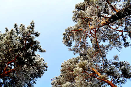 Nature Altaya pleases eye of the artist in any season of the year