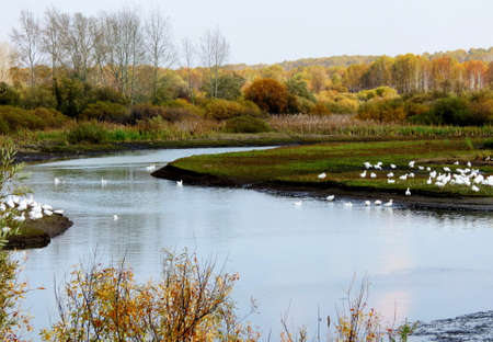 Nature Altaya pleases eye of the artist in any season of the yearの写真素材