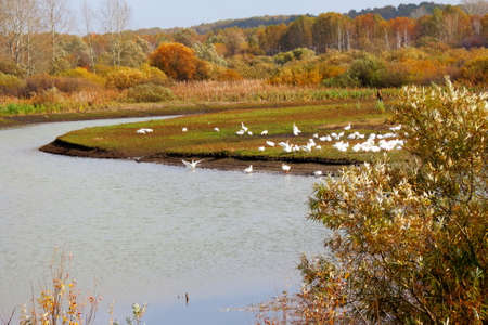 Nature Altaya pleases eye of the artist in any season of the yearの写真素材