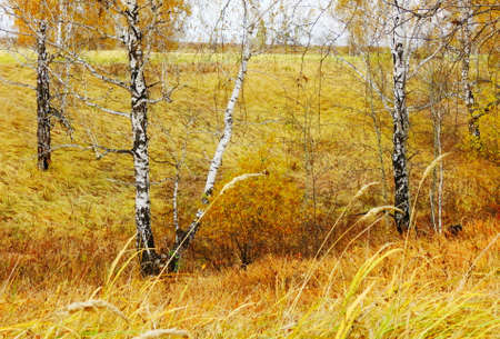 Nature Altaya pleases eye of the artist in any season of the yearの写真素材