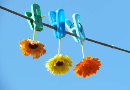 Making the still life this hard deal for artistの写真素材