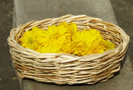 Making the still life this hard deal for artistの写真素材