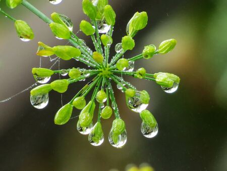 Much different colours decorate steepe and timber landscapeの写真素材