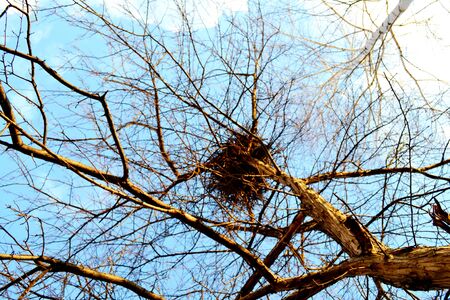 Nature Altaya pleases eye of the artist in any season of the yearの写真素材