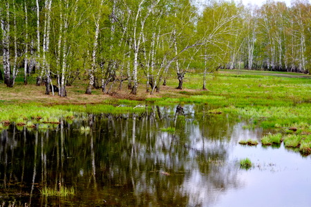 Nature Altaya pleases eye of the artist in any season of the yearの写真素材