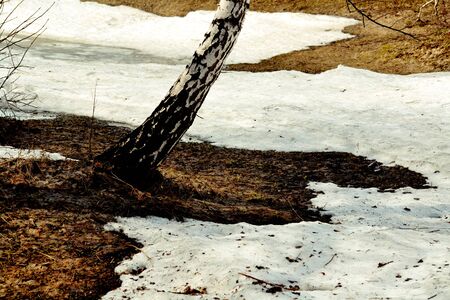 Nature Altaya pleases eye of the artist in any season of the yearの写真素材