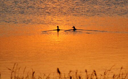 Nature Altaya pleases eye of the artist in any season of the yearの写真素材