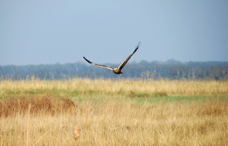 Nature Altaya pleases eye of the artist in any season of the year
