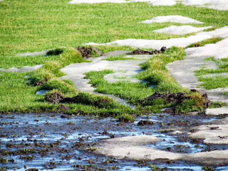 Nature Altaya pleases eye of the artist in any season of the yearの写真素材