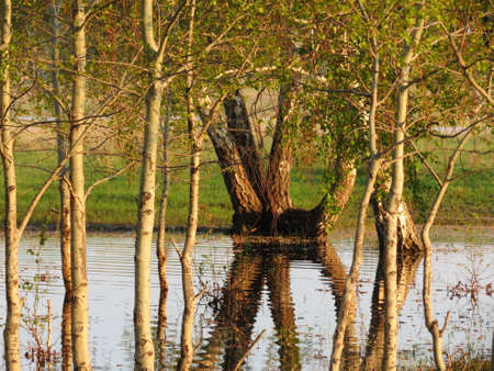 Nature Altaya pleases eye of the artist in any season of the yearの写真素材