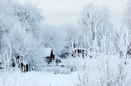 Nature Altaya pleases eye of the artist in any season of the yearの写真素材