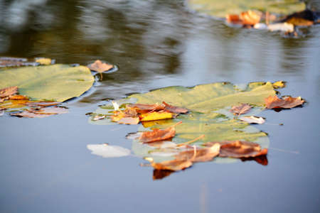 Nature Altaya pleases eye of the artist in any season of the yearの写真素材