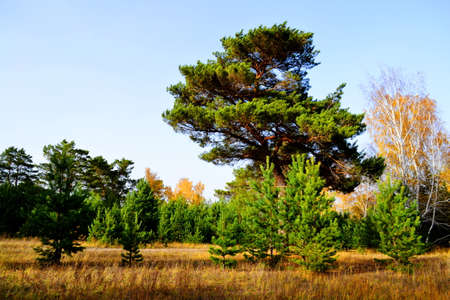 Nature Altaya pleases eye of the artist in any season of the yearの写真素材