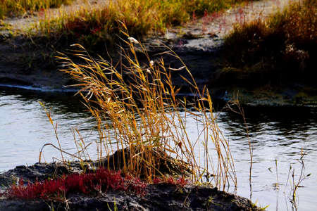 Nature Altaya pleases eye of the artist in any season of the yearの写真素材