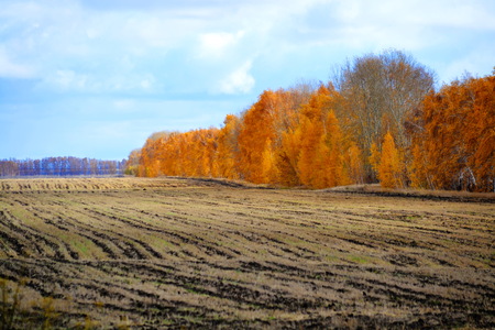 Nature Altaya pleases eye of the artist in any season of the yearの写真素材