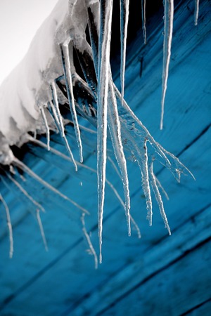 Spring icicles come up for Februaryの写真素材