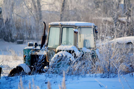 Much siberian sowed; sown is found far from civilizationsの写真素材