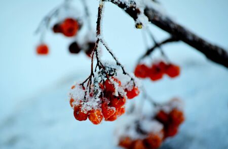 Nature Altaya pleases eye of the artist in any season of the yearの写真素材